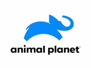The logo of Animal Planet